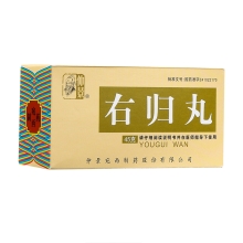 仲景 右归丸 45g*1瓶/盒