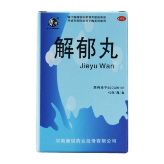 康祺 解郁丸 40g 肝郁气滞