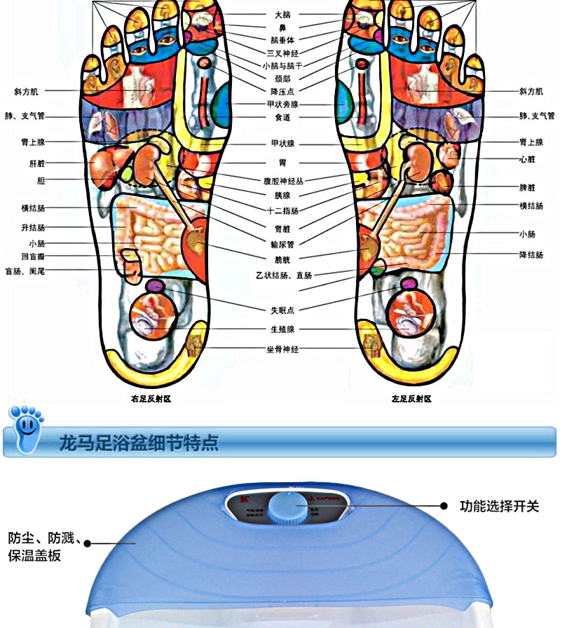 龙马 足浴盆 足浴理疗按摩器 kmz-vi(蓝色至爱型)